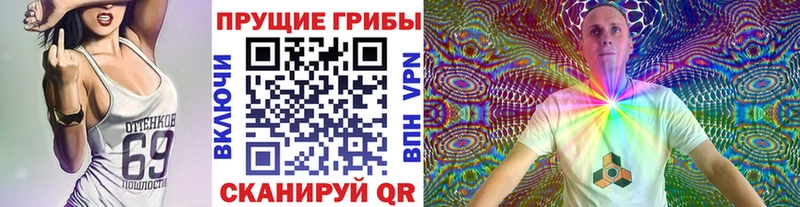OMG вход  Канск  Псилоцибиновые грибы GOLDEN TEACHER 